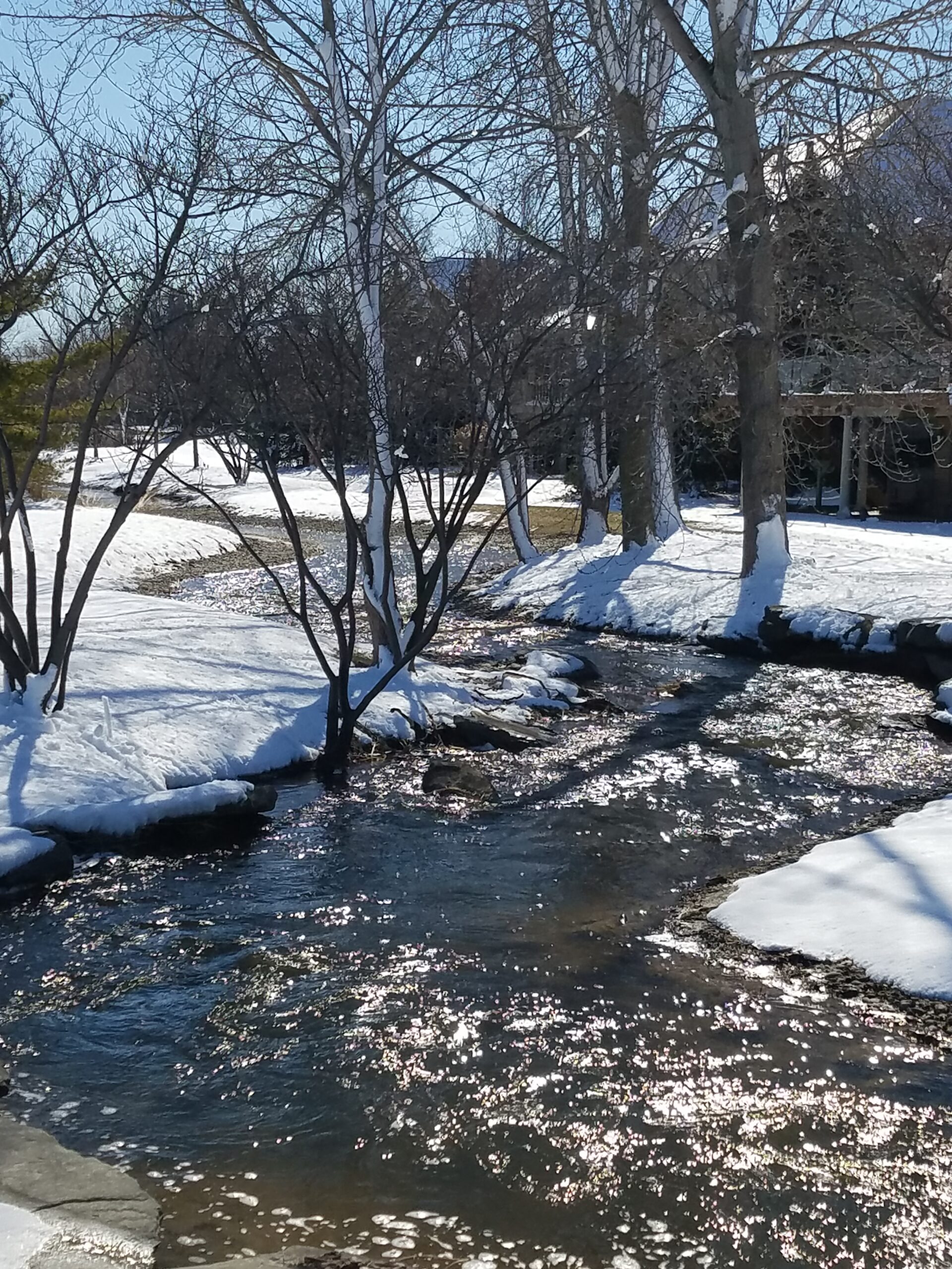 Stonewater Creek Winter