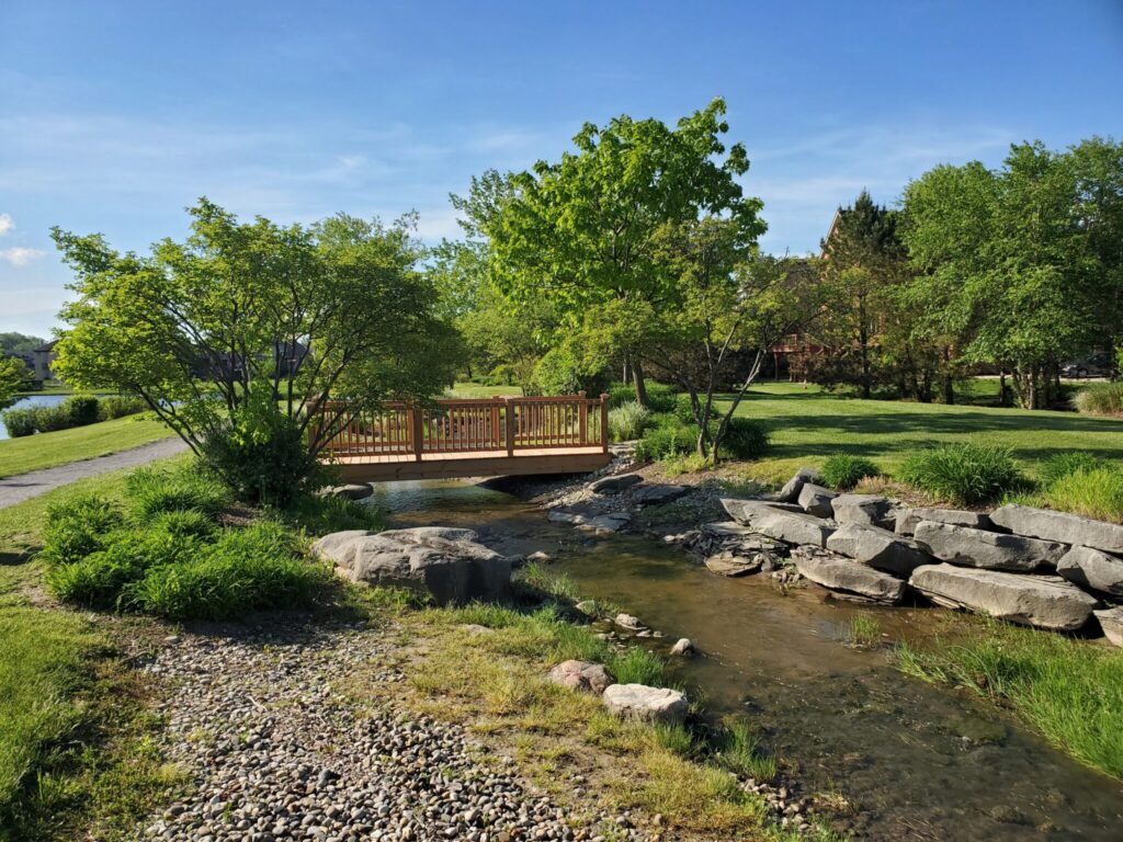 Stone River ShoreBrook